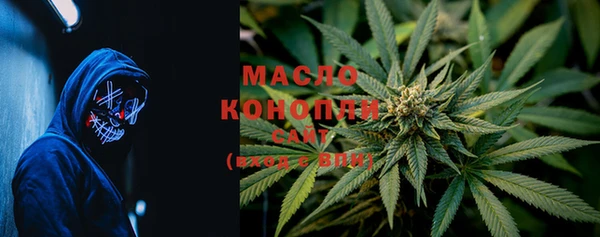 ешки Бородино