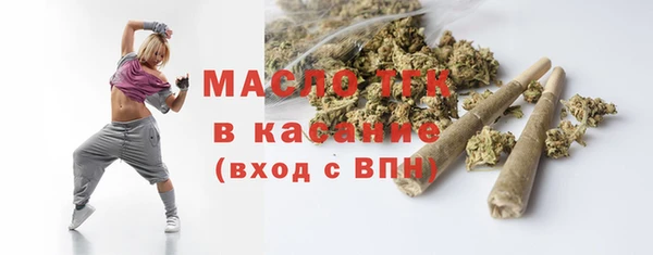 ешки Бородино