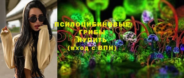 ешки Бородино