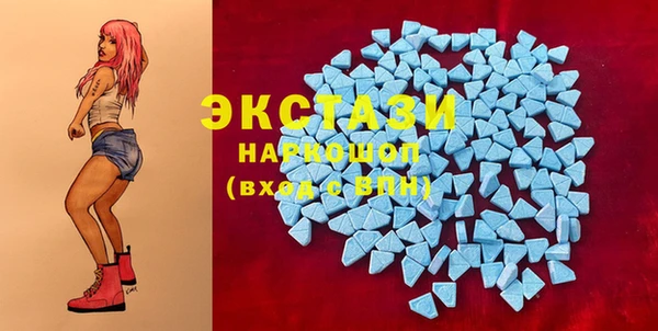 ешки Бородино